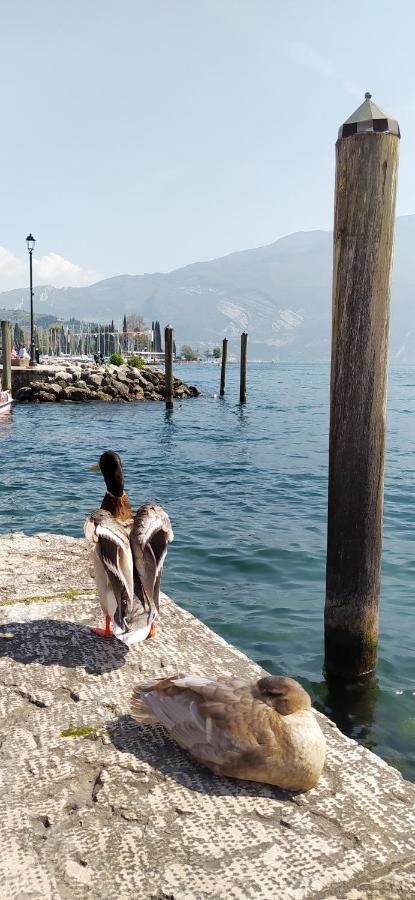 Апартаменти Riva Del Garda Nest Екстер'єр фото